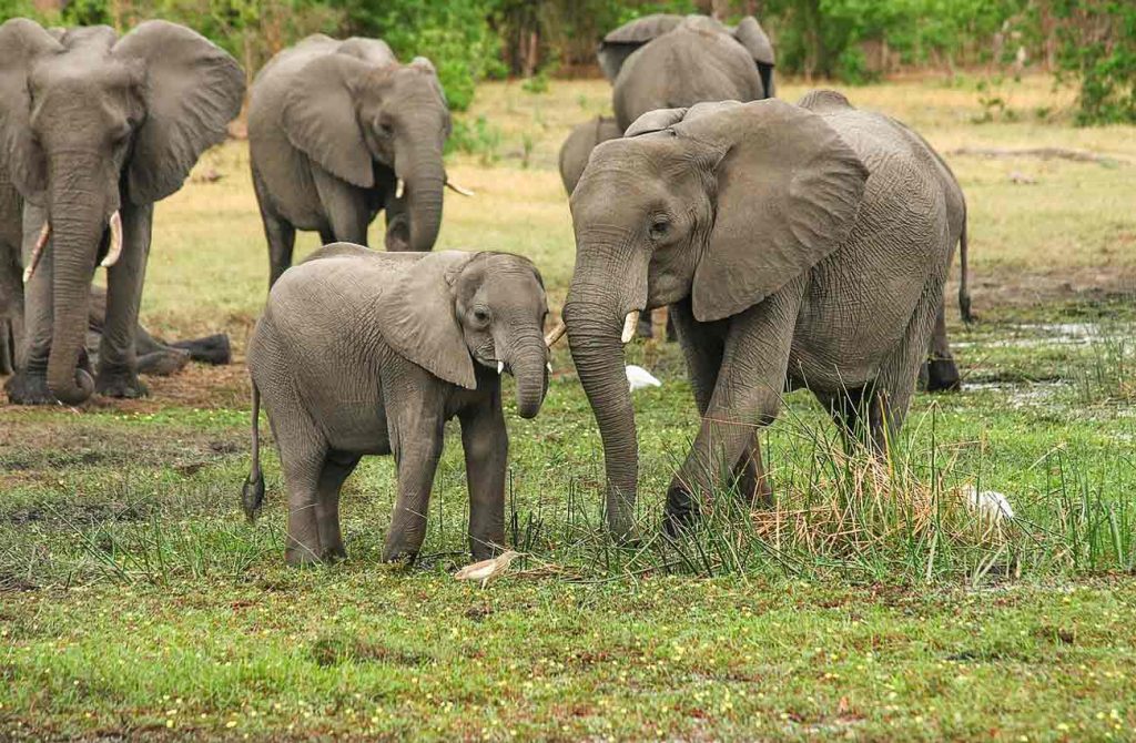 Viaje de safari en Sudáfrica