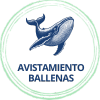 Viaje de aventura y experiencias avistamiento ballenas