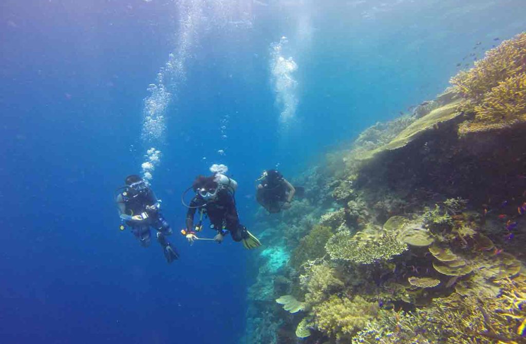 Buceo en Madagascar