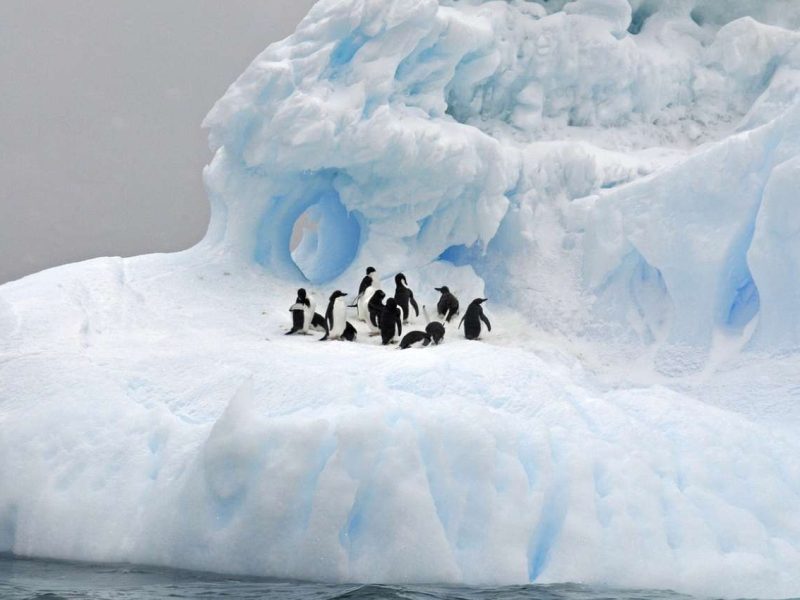 Viaje a la Antártida