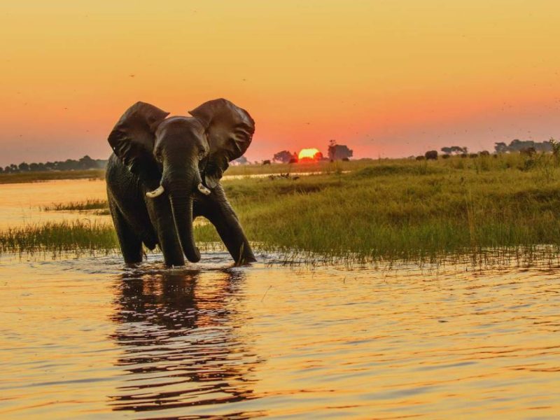 Ciudad del Cabo, Botswana y Cataratas Victoria