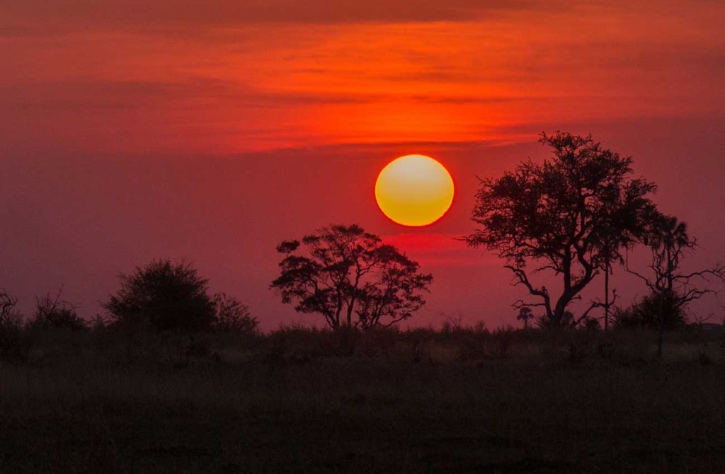 Conducir por Botswana a tu aire