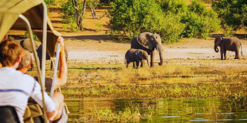 Botswana y Cataratas Victoria en 8 días