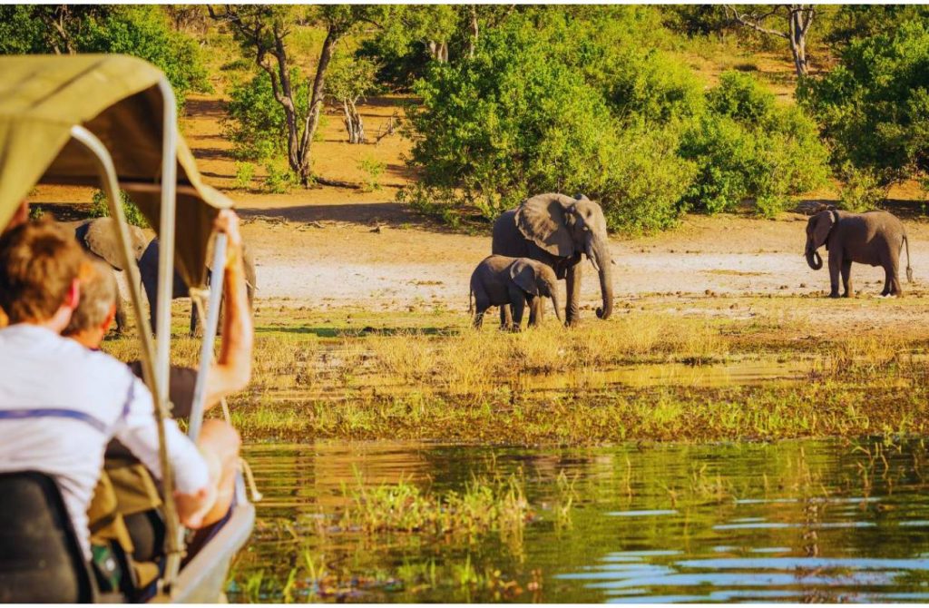 Botswana y Cataratas Victoria en 8 días