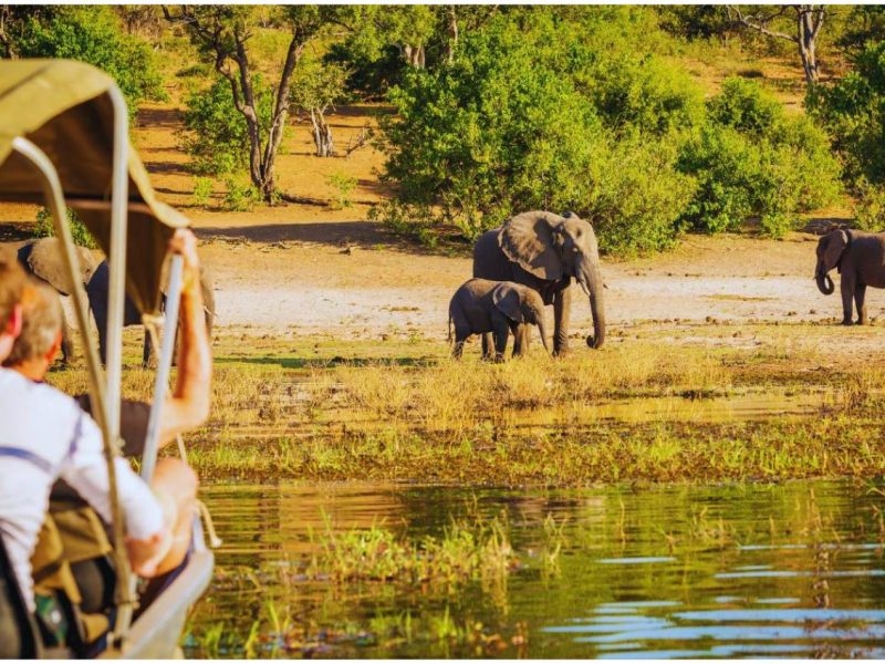 Botswana y Cataratas Victoria en 8 días