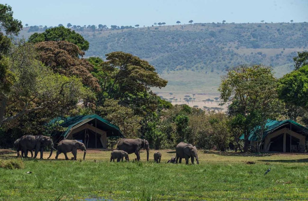 El mejor Safari en Kenia