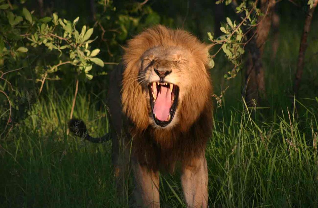 gran ruta de Sudáfrica en coche