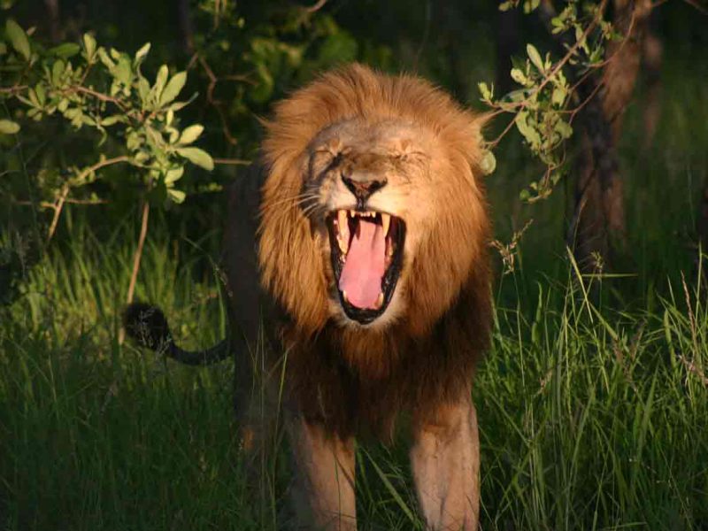 gran ruta de Sudáfrica en coche