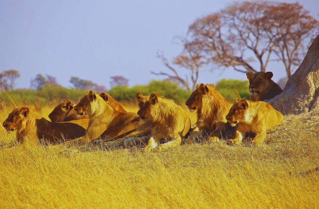 Gran viaje a Namibia